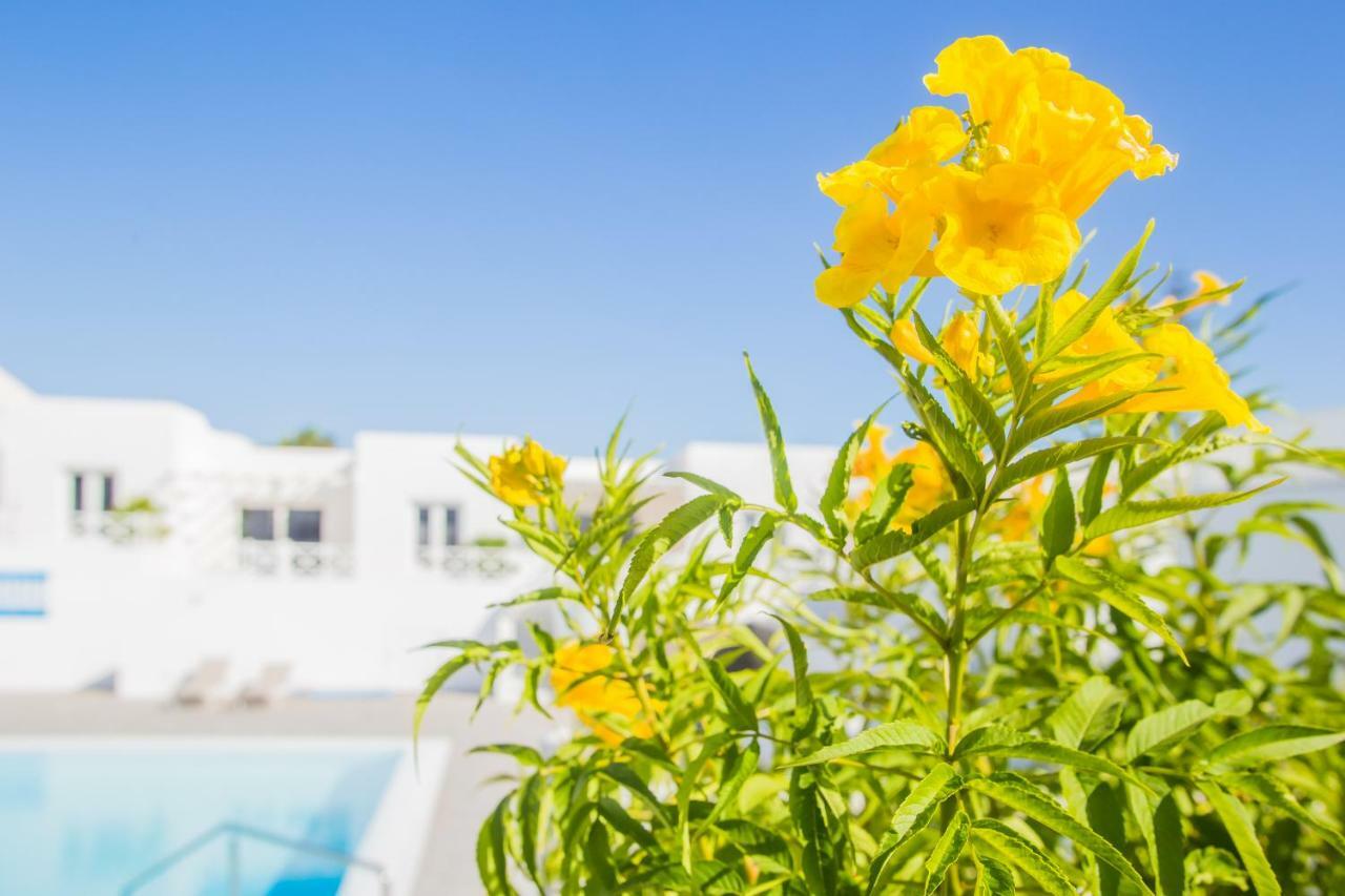 Flower Beach Suite 6 Playa Honda  Εξωτερικό φωτογραφία